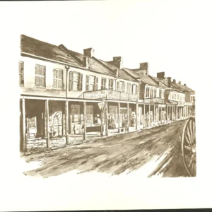Print (Sepia): First State Capitol